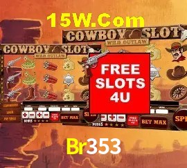Exclusive Offers Br353